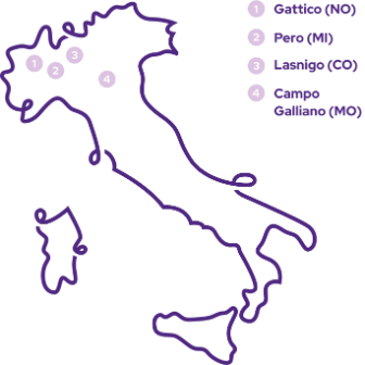 IMG-Italia